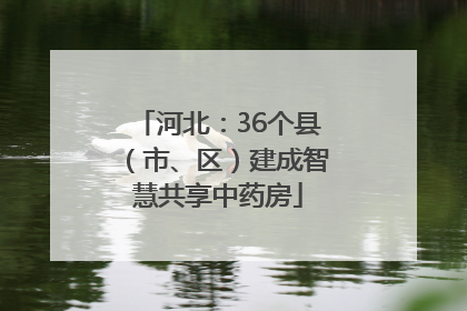 河北：36个县（市、区）建成智慧共享中药房